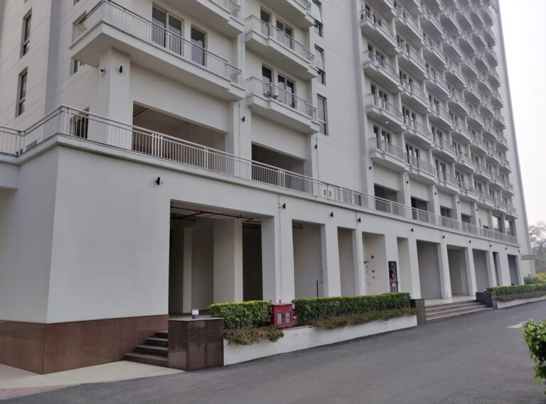 6be72e68-c29e-447b-8495-928048ad7d0a